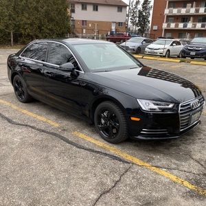 Meet your Posher, Istvan